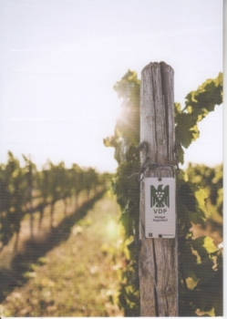 Weingutrappenhof - D 19xx 95 001 ** / ●